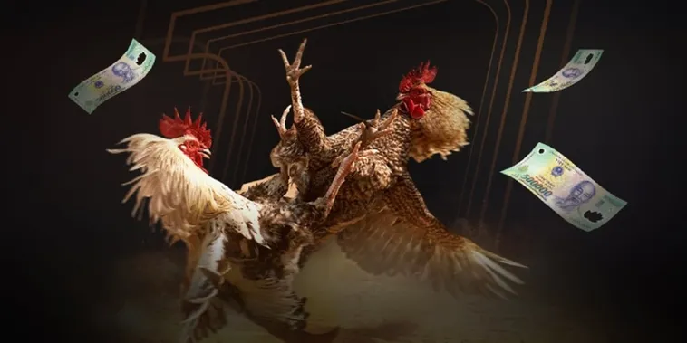 Cách Chơi Đá Gà 3D Tại PG88: Bí Quyết Từ Cao Thủ 2 Cách Chơi Đá Gà 3D Tại PG88: Bí Quyết Từ Cao Thủ