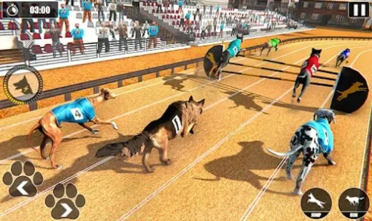 Khám Phá Cách Chơi Game Nhanh Đua Chó Tại PG88 Hiệu Quả 2 Khám Phá Cách Chơi Game Nhanh Đua Chó Tại PG88 Hiệu Quả